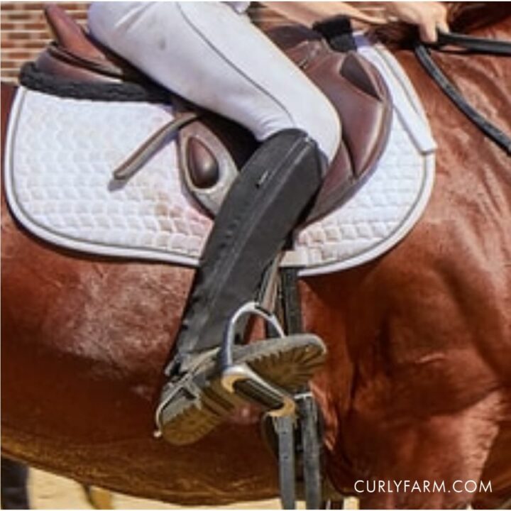 How To Trim A Horse S Mane Horse Haircut Learninghorses How To Trim A Horse S Mane Horse Haircut Learninghorses