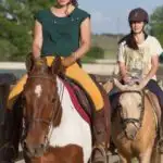 How to handle a horse that scrapes its rider's foot along an arena wall, fence, or even on the trees along the edge of the riding trail.
