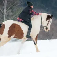 A young woman in wither clothes rides a pinto horse bareback in the snow.