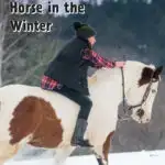 A young woman in wither clothes rides a pinto horse bareback in the snow.