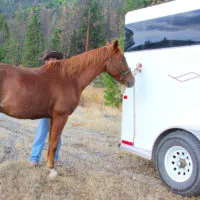 A horse and handler stand next to a horse trailer.