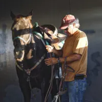 An older man tacking up a horse with western tack.