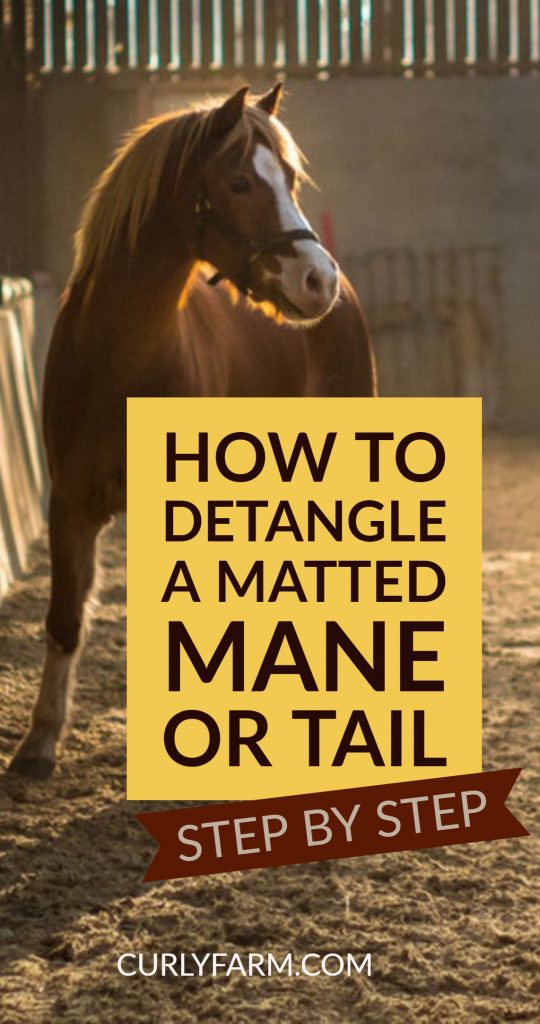 How to detangle a matted horse mane or tail