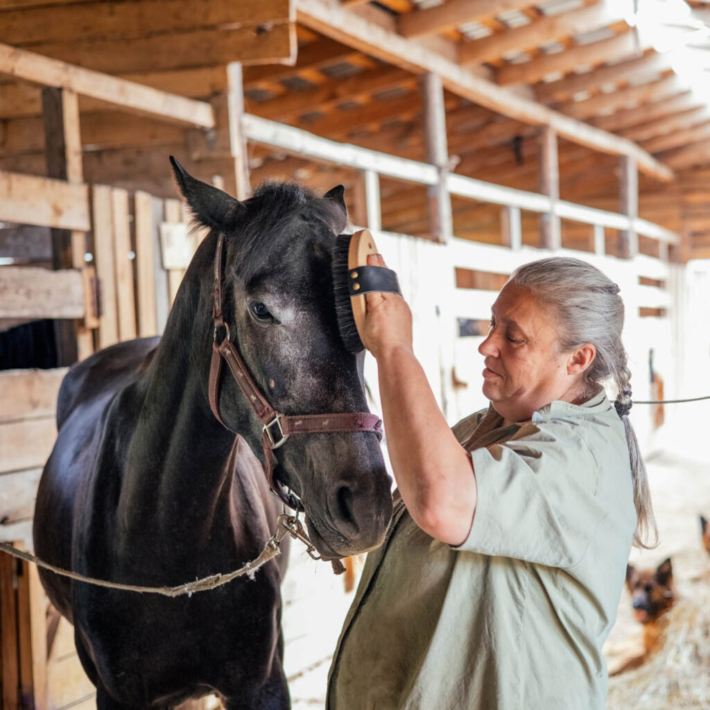How to Retire a Horse + 10 Tips to Help Your Old Horse Stay Happy ...