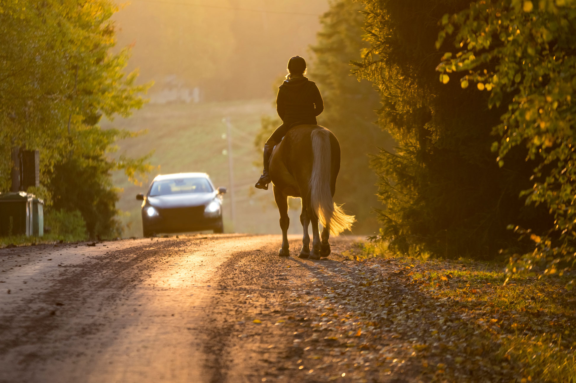 A car passes a horseback rider at sunset.