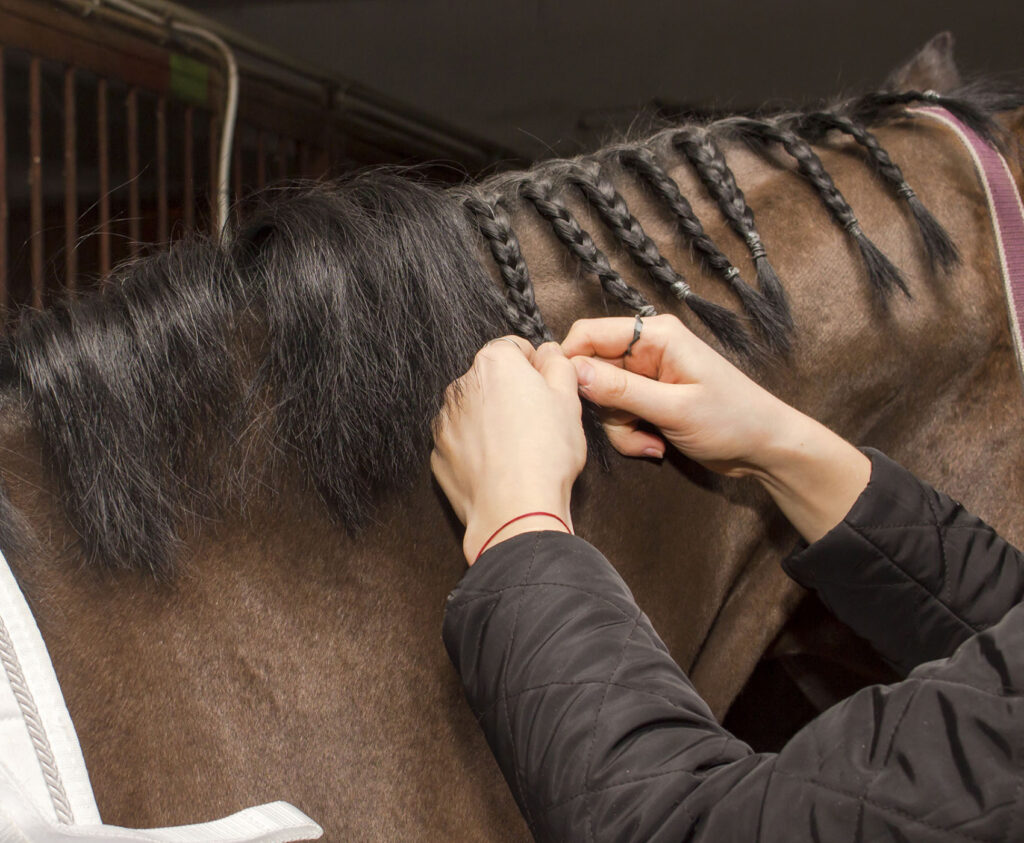Closeup photo of a person braiding straight braids into a brown horse's mane.