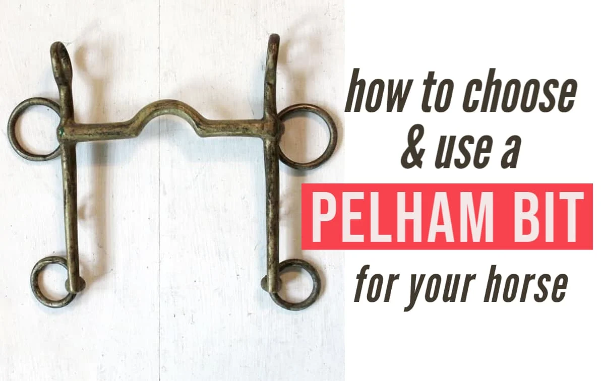 How to choose, use, and ride a horse with a pelham bit