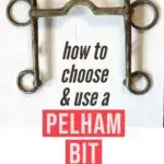 How to choose, use, and ride a horse with a pelham bit