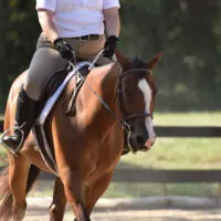 A person riding a horse english style