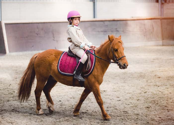 image of a child riding a pony at a walk, ready to stop at a whoa command from rider - or parent or riding instructor