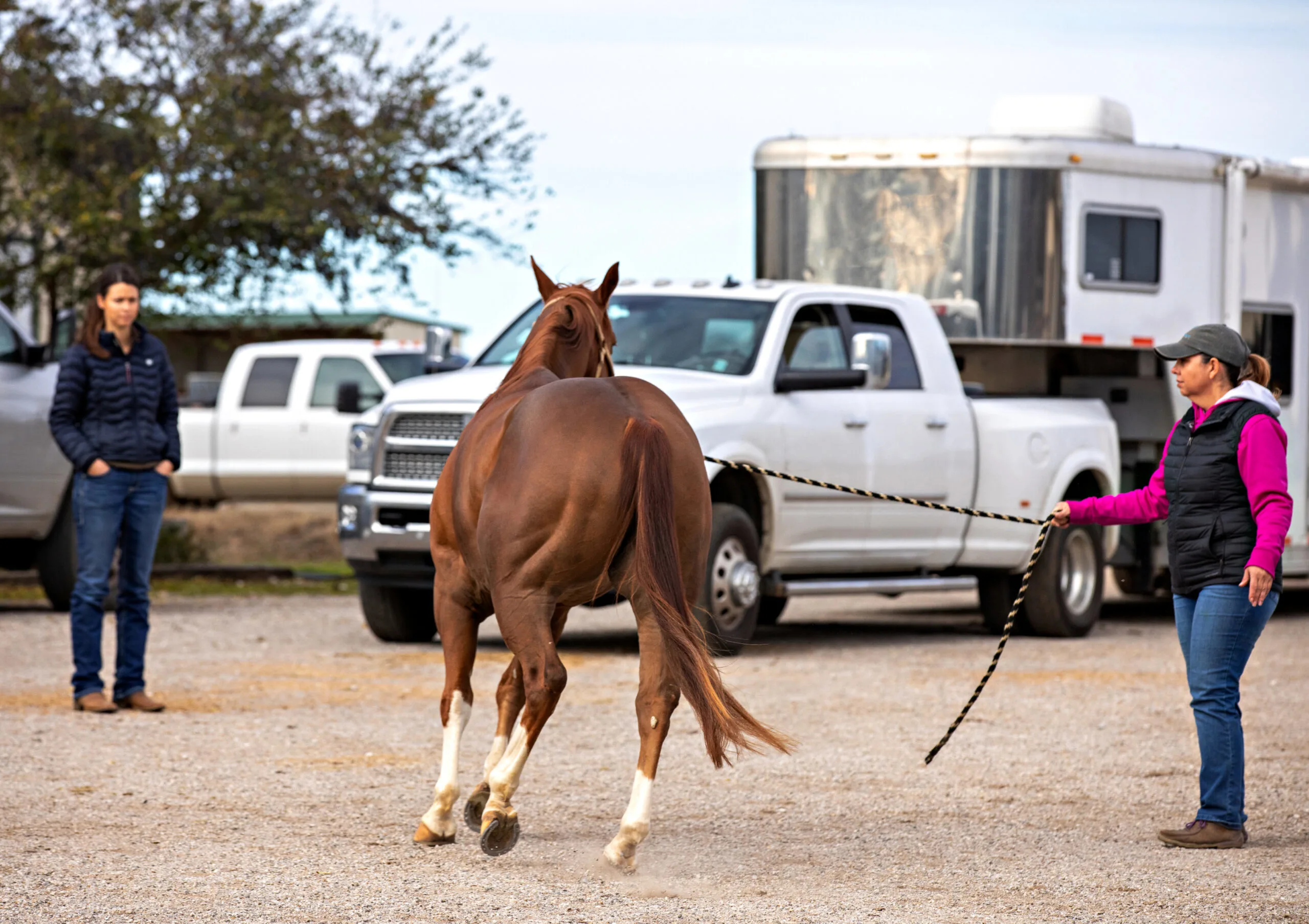 A woman with her hands in her pocket watching a horse trot past.