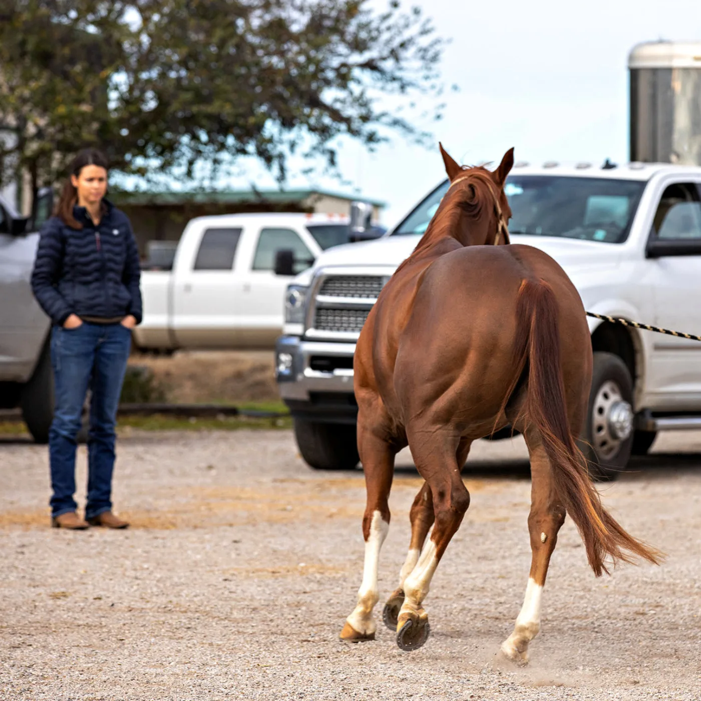 A woman with her hands in her pocket watching a horse trot past.
