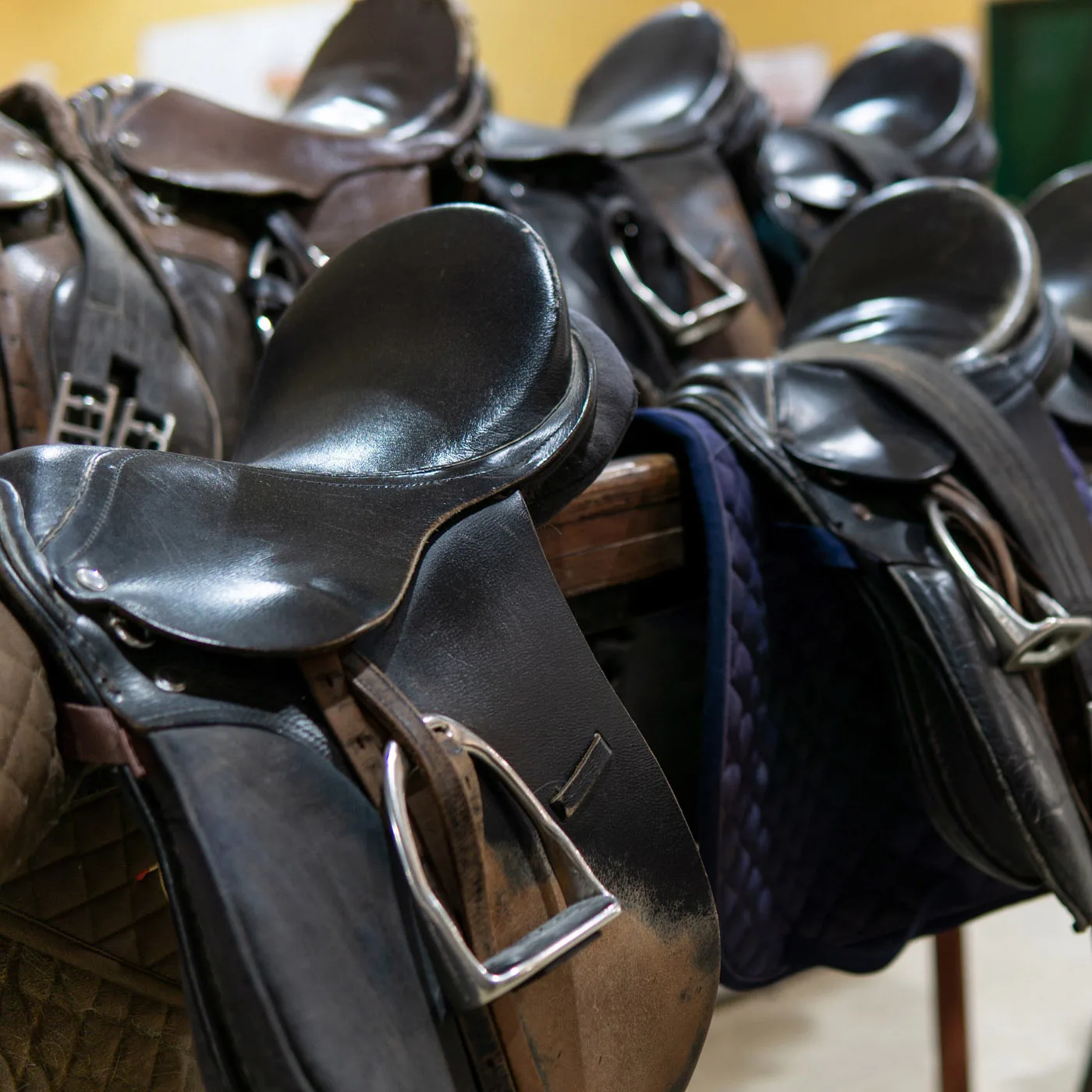 Close up of several horse saddles in a stable