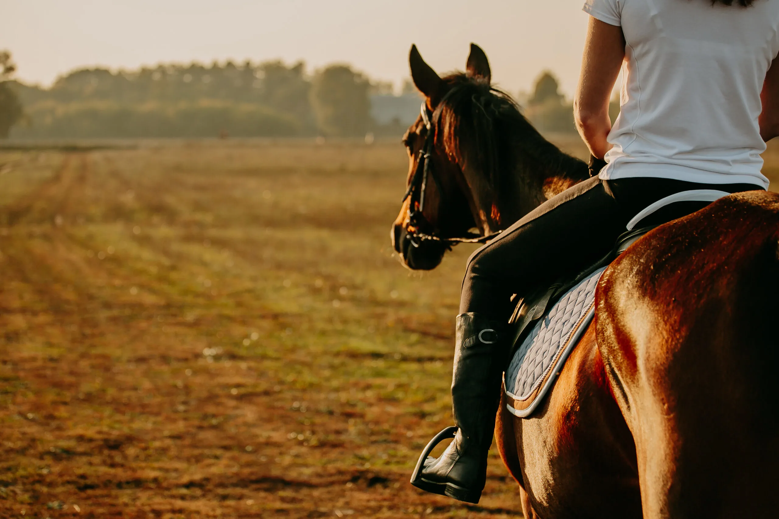 A girl riding a horse in an open field instead of a riding arena.