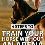 A girl riding a horse in a field and the caption 4 steps to train your horse without an arena.