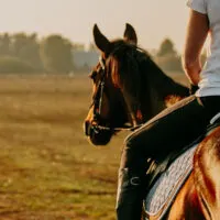 A girl riding a horse in a field.