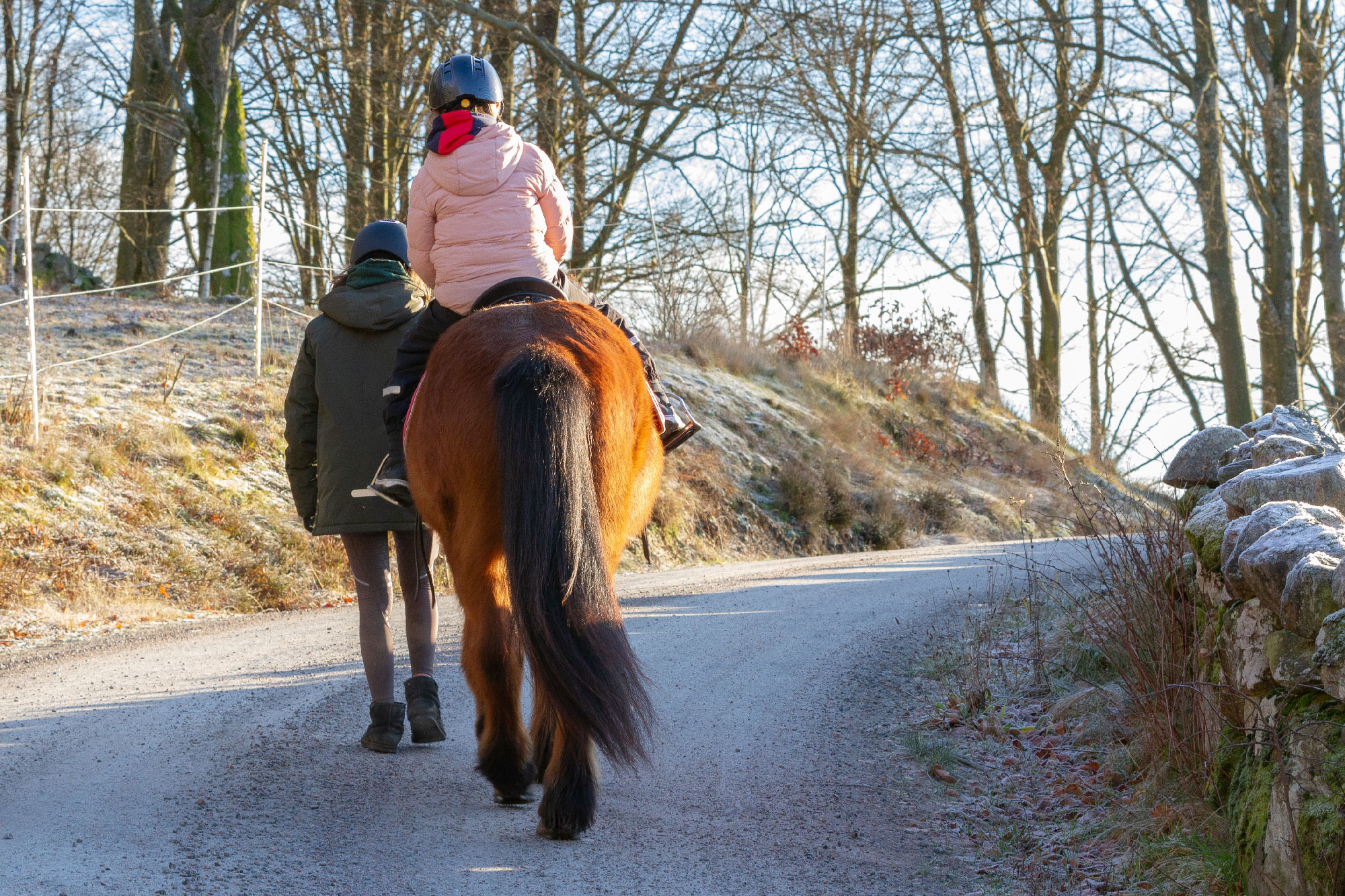 riding with someone leading the horse is one of the best ways to overcome fear after falling from a horse.