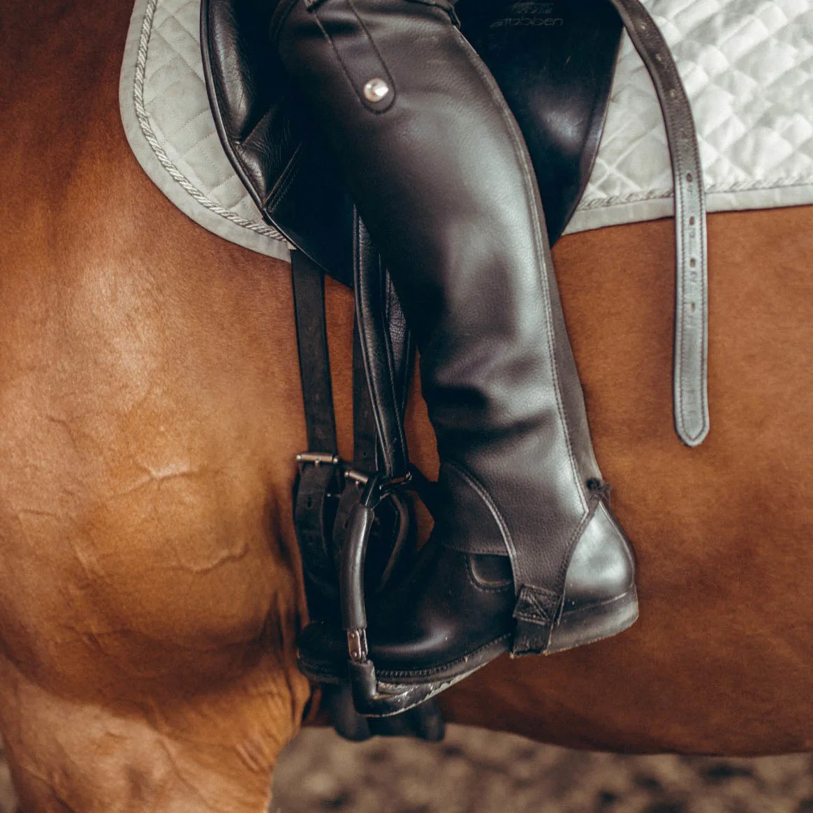 A rider's leg in the stirrup