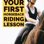 What to expect from your first horseback riding lesson.