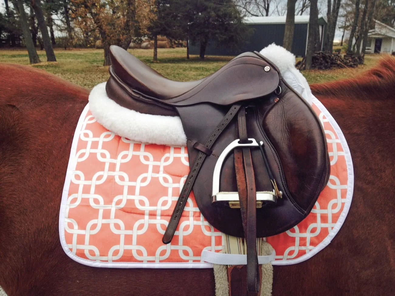 Learn about the parts of an english horseback riding saddle.