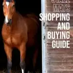 How to plan, purchase, and install horse stall mats in your barn, and some considerations to weigh before you make the investment.