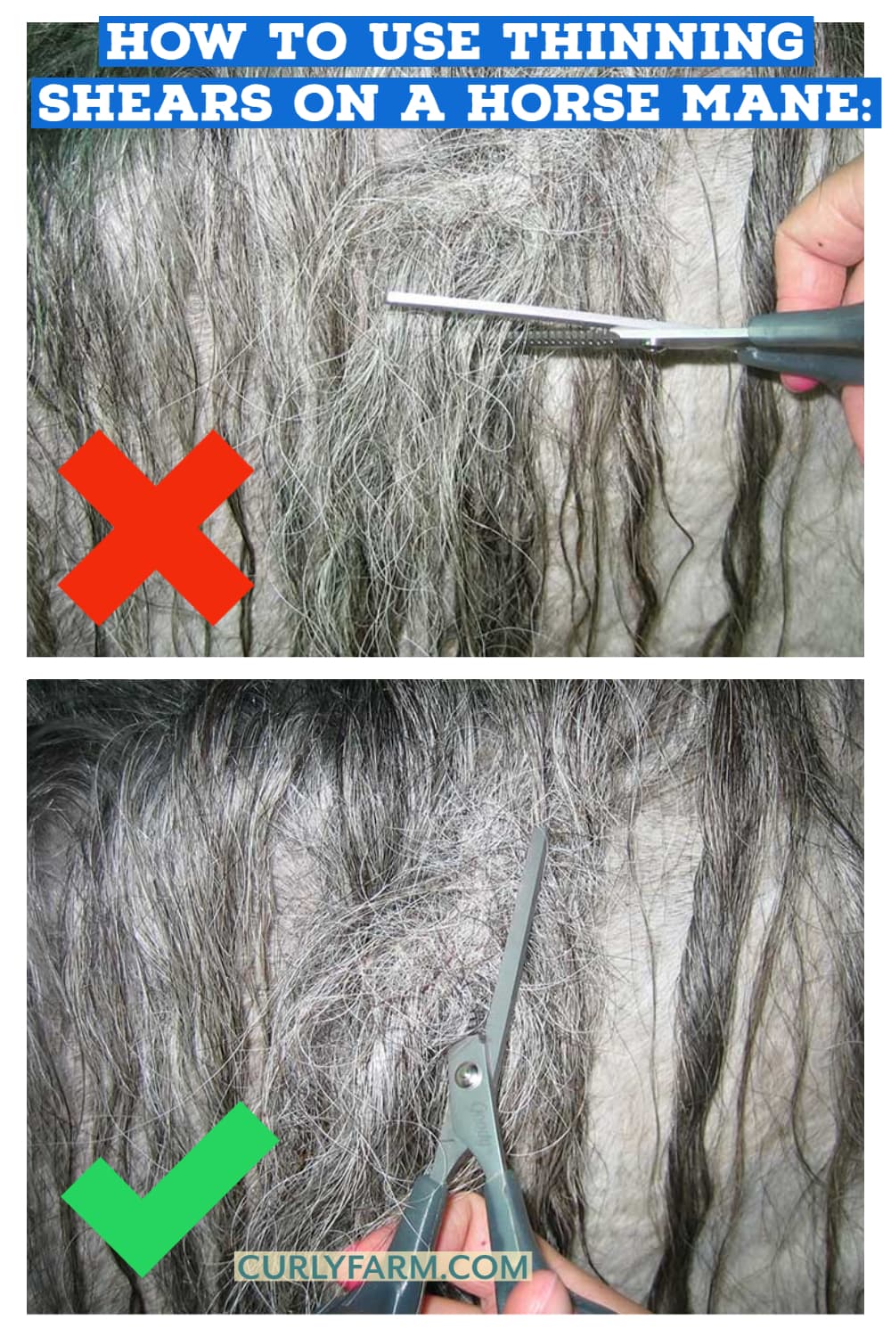 image demonstrating the right way (horizontal) and wrong way (vertical) to us thinning shears