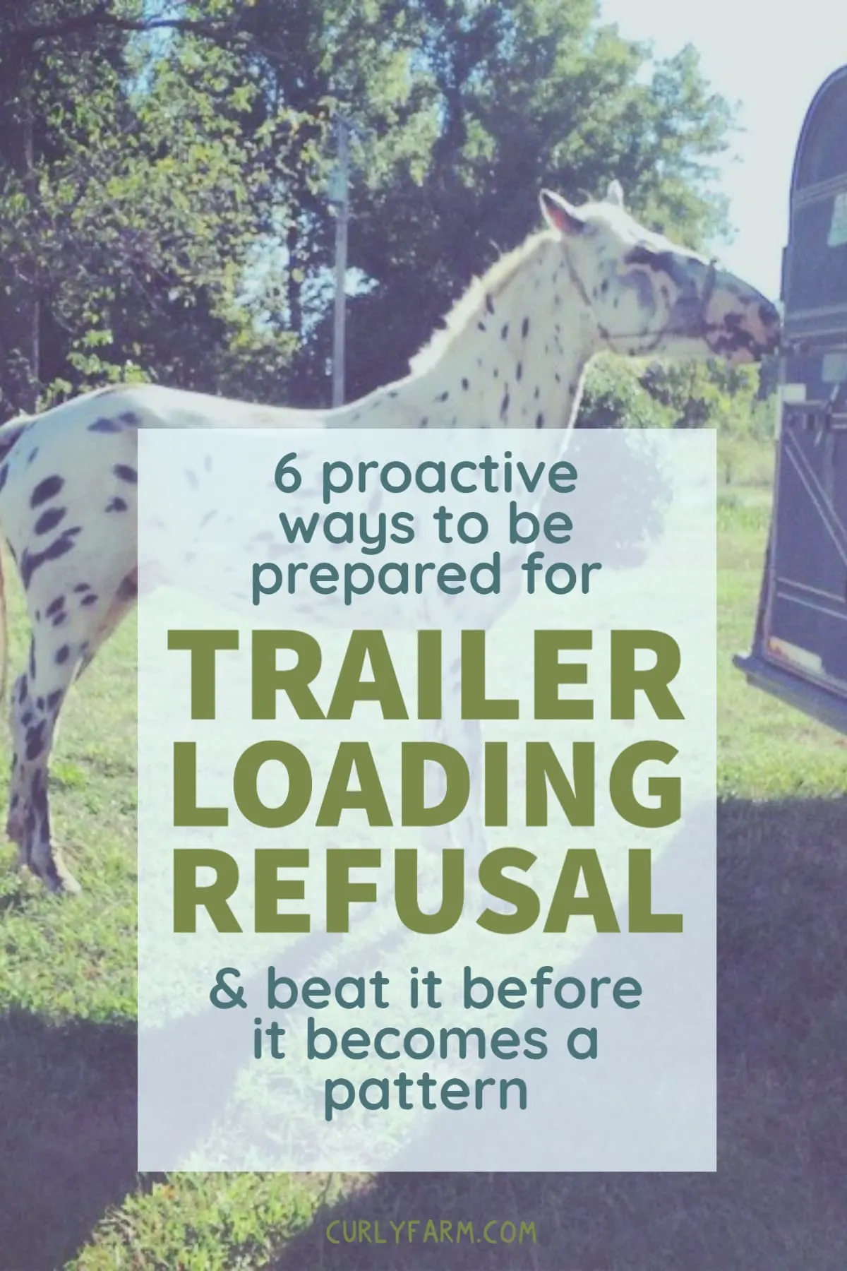 Learning these tips for loading a horse that won't step onto the trailer BEFORE you deal with your first trailer loading refusal can help keep your horse from learning bad habits