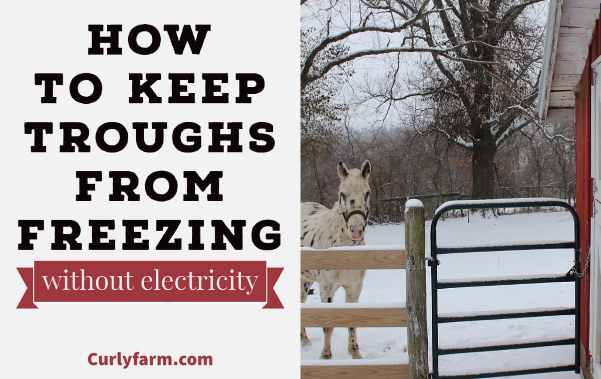 6 Easy Ways to Prevent Water Troughs from Freezing without an Electric
