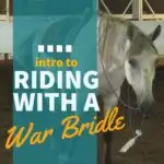 Riding a horse with a native american war bridle