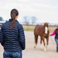Woman watches a horse move.