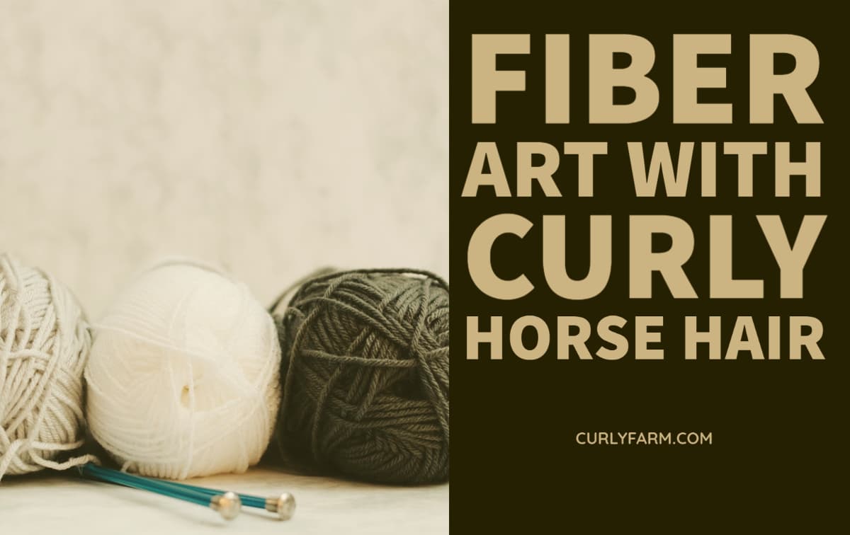All About Horse Fur & Hair + Fiber Crafts