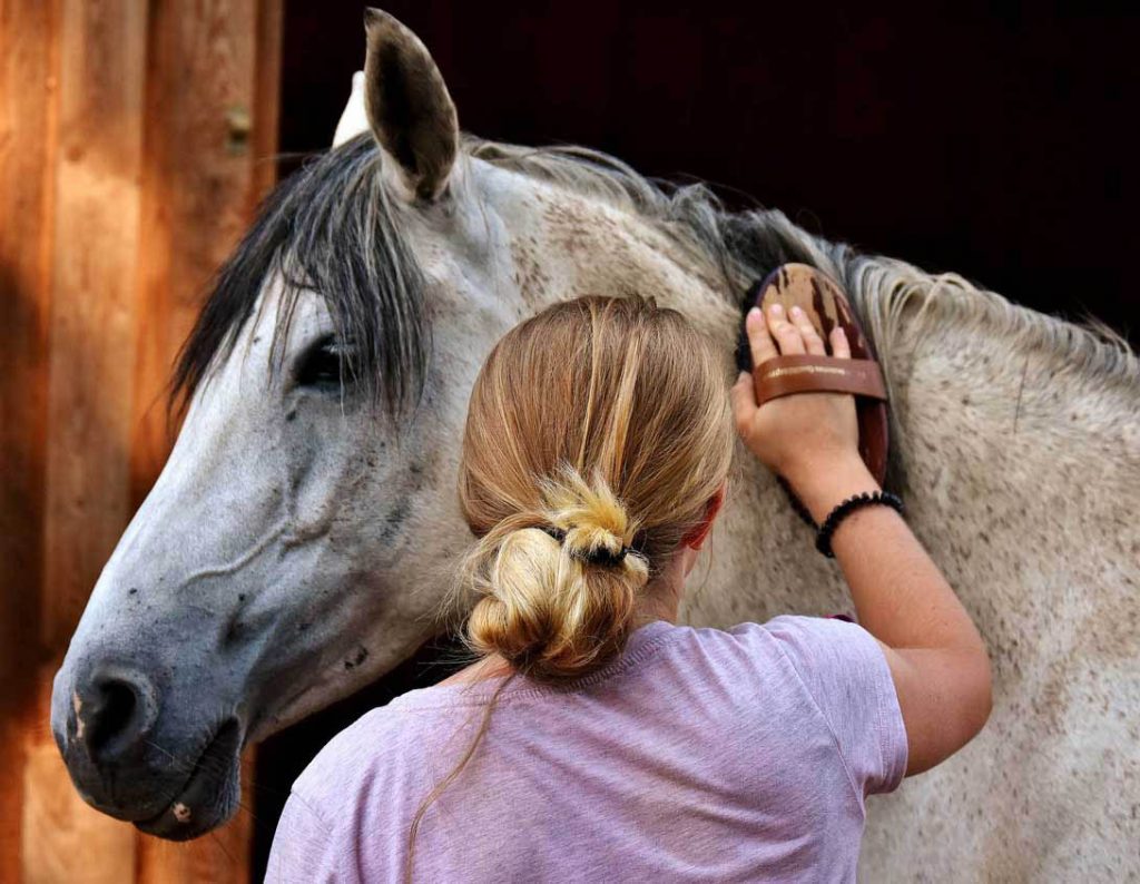 A woman grooms a horse's neck.