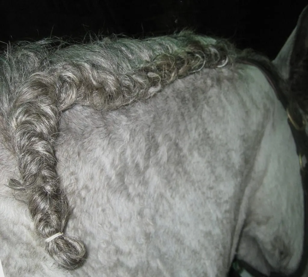 Finish a running braid with a simple plait, band, and tuck. 