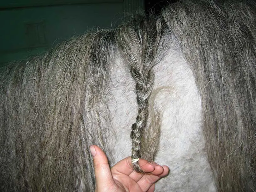 Tucking the ends up into the braid protects them.