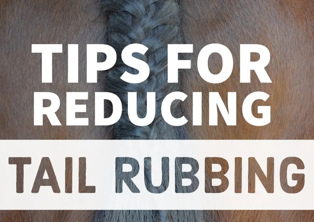 tips for reducing tail rubbing