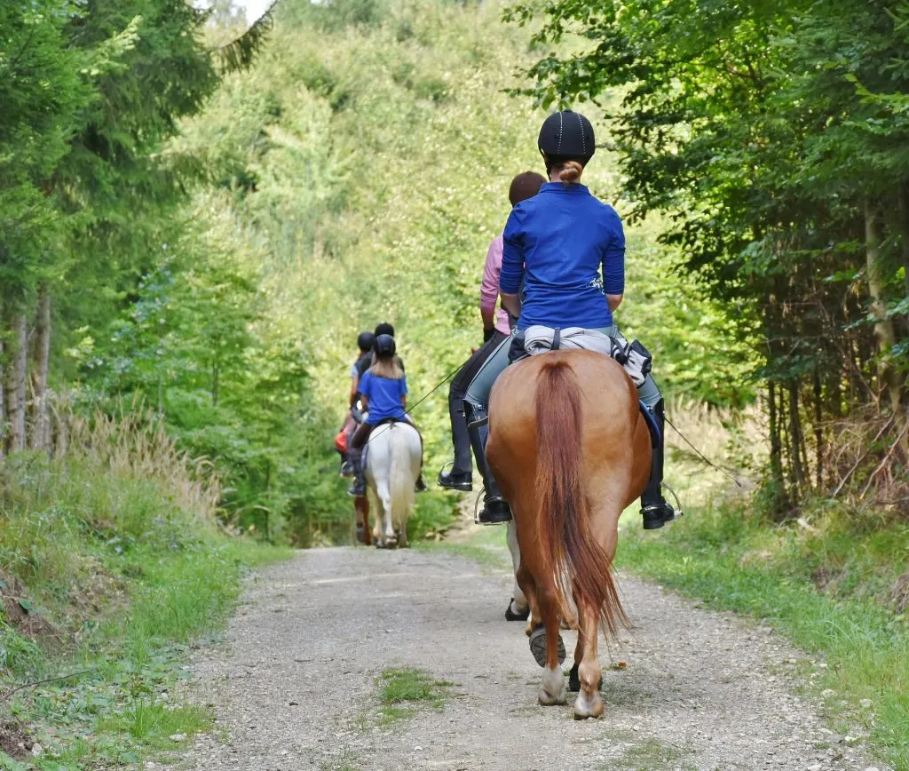 Keep your new horse at a barn with other riders helps create opportunities to learn about horsemanship in a safe environment and builds friendships with other riders.