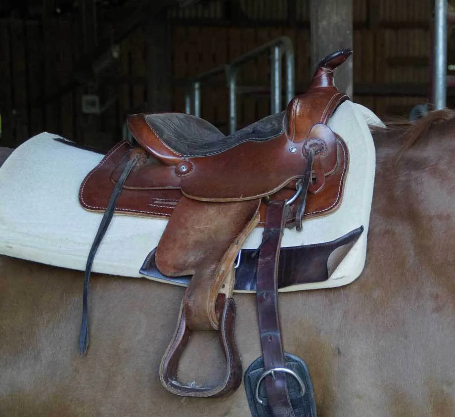 cf western saddle