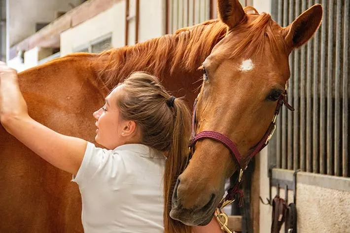 horses provide companionship for girls and teens
