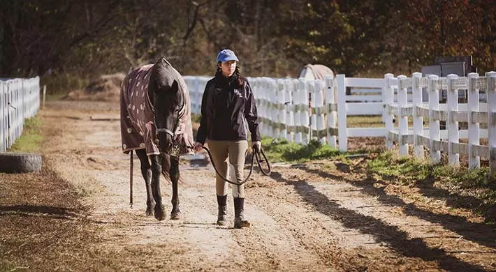  horses can help girls have a sense of control over some area of their life