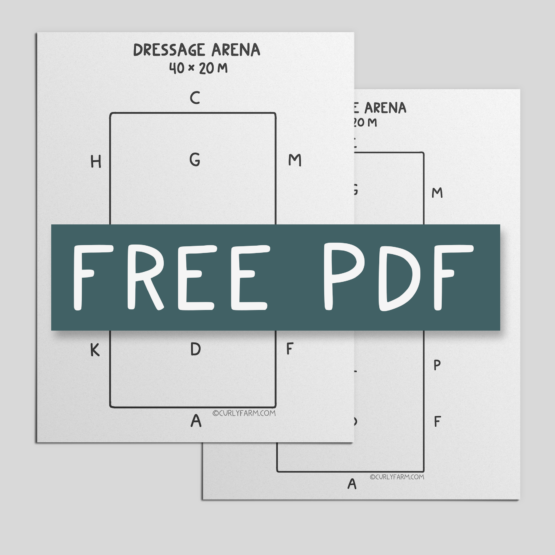 PDF Printable Dressage Arena