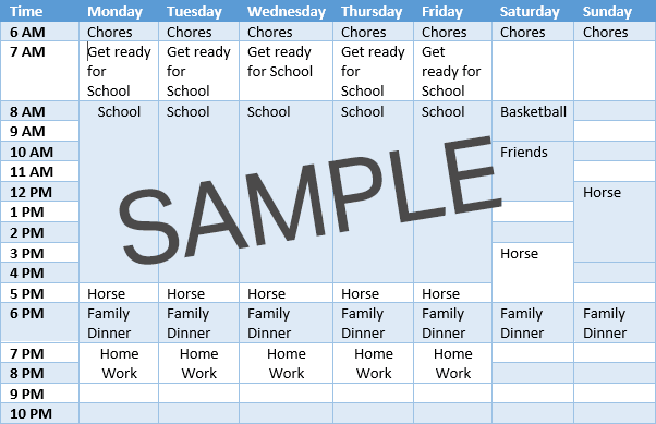 LearningHorses.com Horse Schedule Planner - this planner can help convince parents how you'll spend time if they buy a horse.