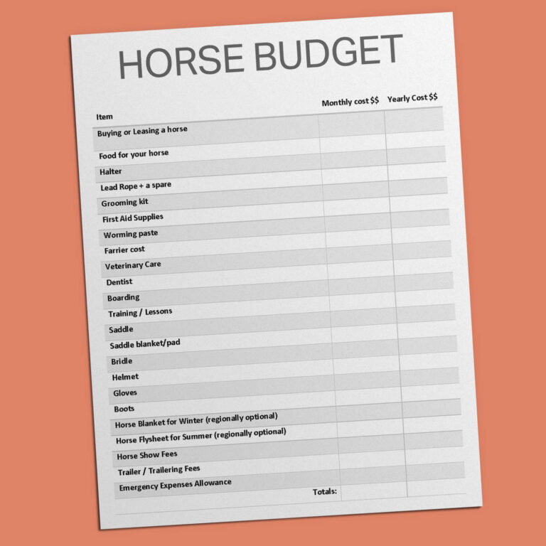 🏷️🐴 Printable Horse Stall Card Template | LearningHorses.com