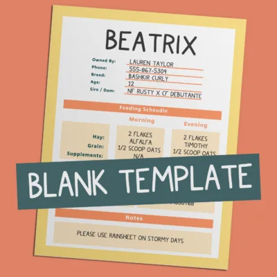 🏷️🐴 Printable Horse Stall Card Template