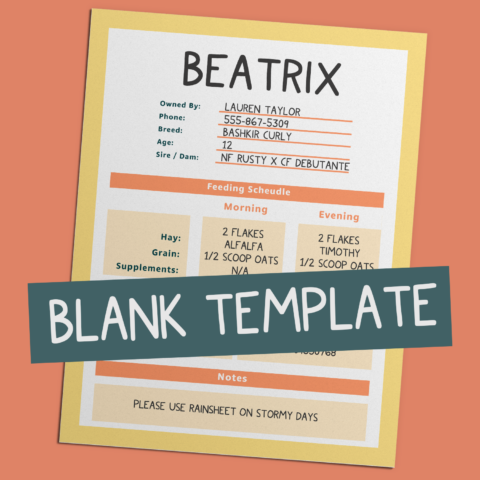🏷️🐴 Printable Horse Stall Card Template | LearningHorses.com