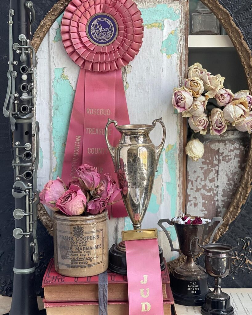 Repurpose Ribbons What to do With Award Ribbons: 15 Ways to Repurpose Rosettes ...