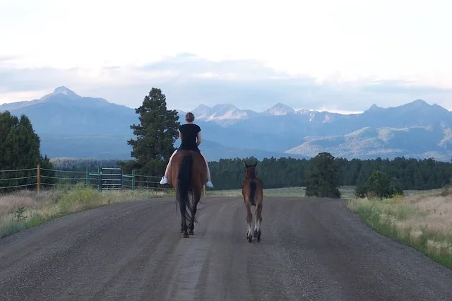 Among the fun things to do with a foal is letting the foal follow along as you ride the mare