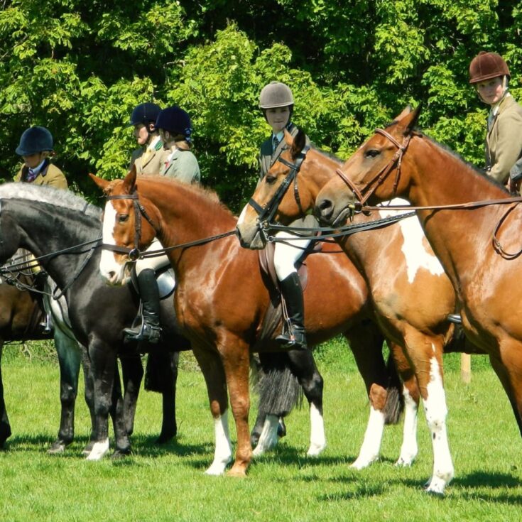 Simple Tips to End Horse Head Tossing and Throwing