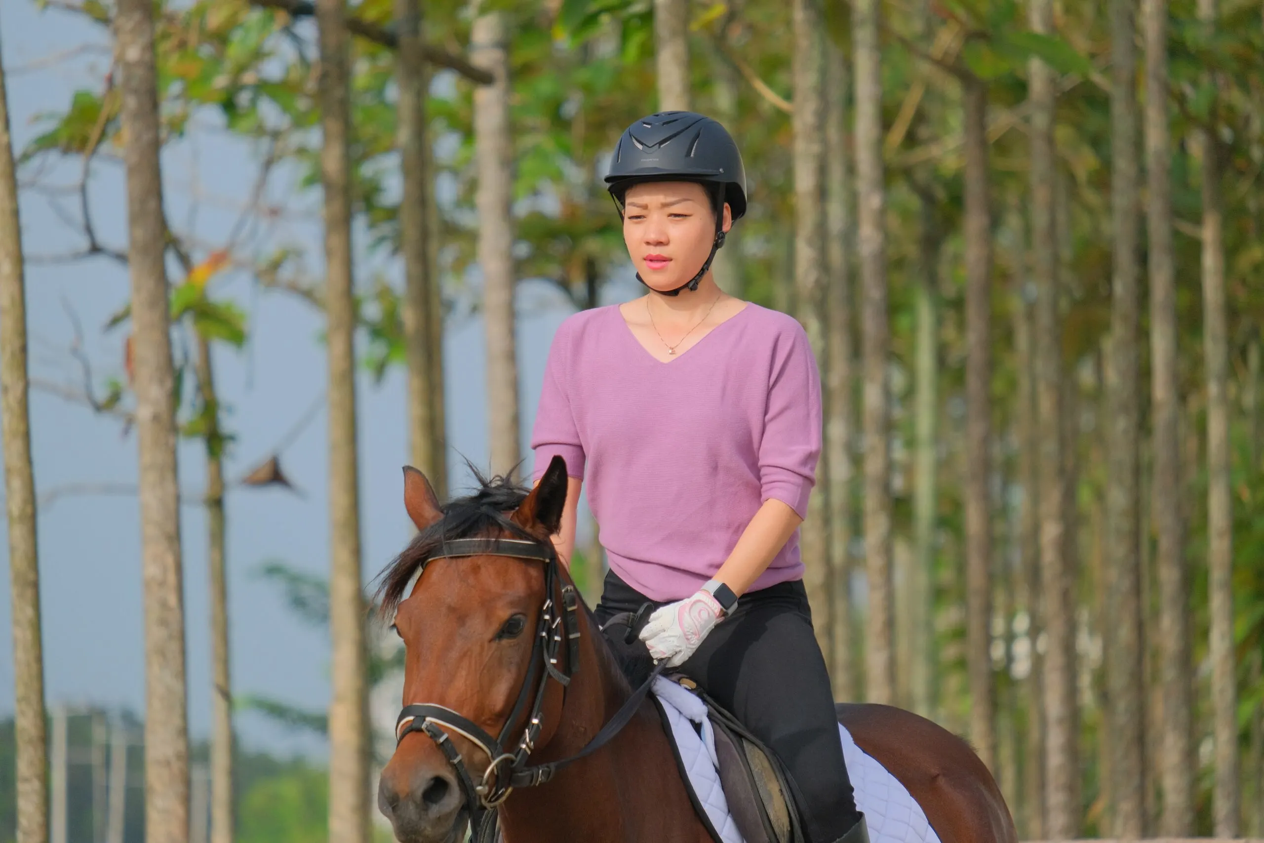 A woman in a pink shirt, helmet, and gloves rides a brown horse.