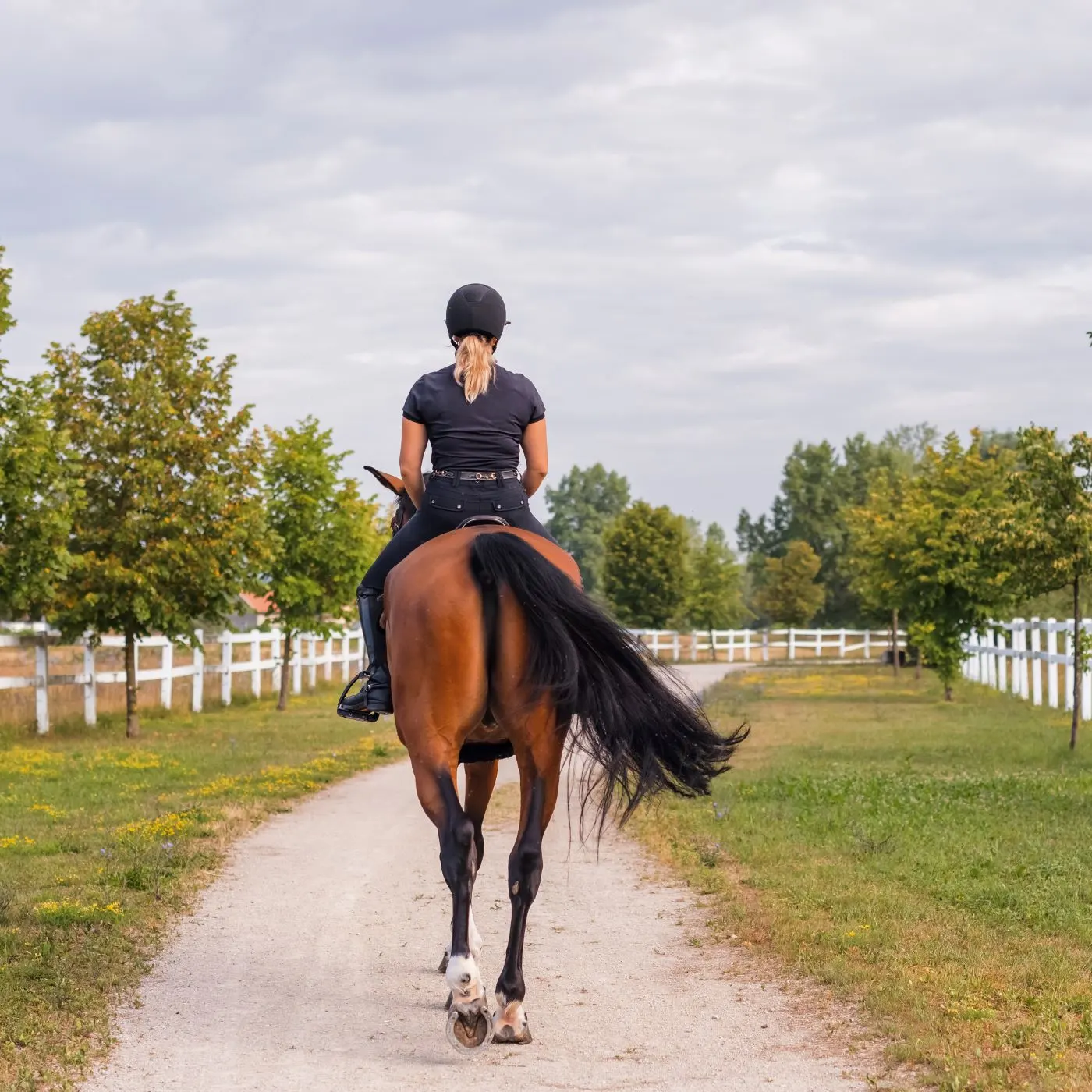 woman riding a brown horse with black tail