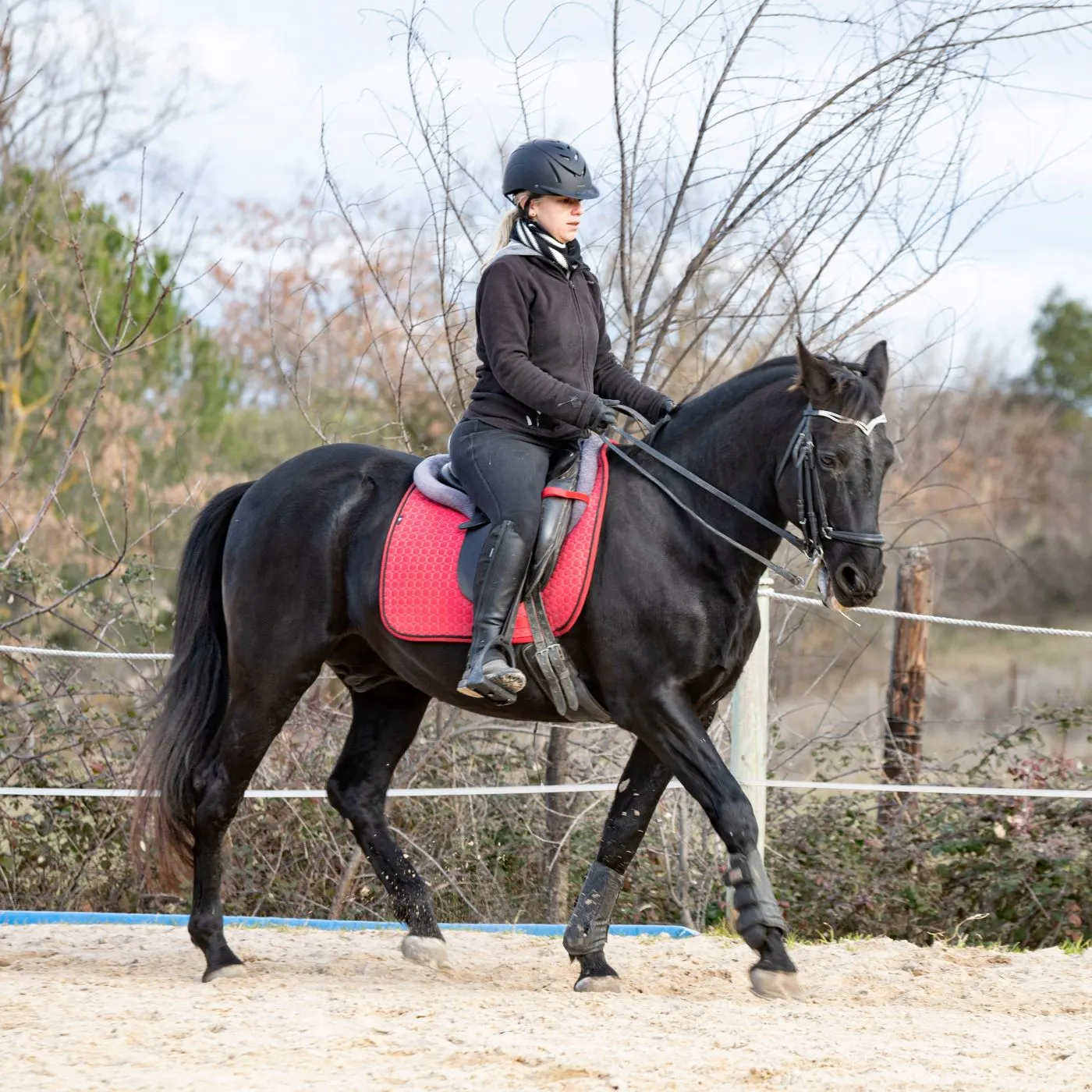 woman riding a black horse
